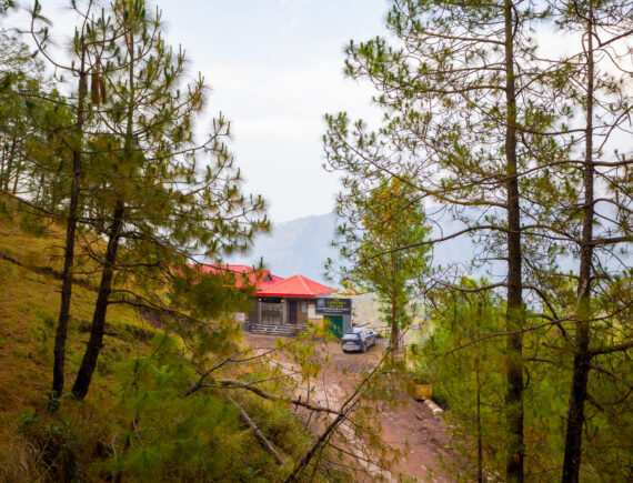 luxurious villa in kasauli| The castle villa