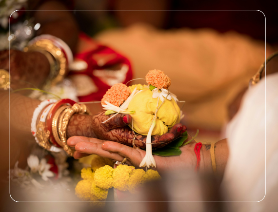 Premium destination wedding in Udaipur