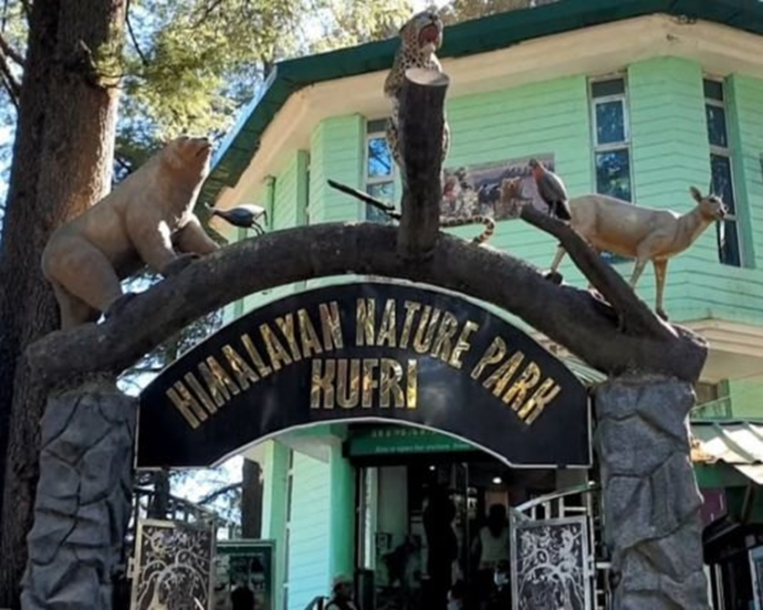  Kufri Zoo, a favourite stop for families staying nearby